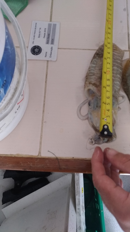 Fish Measure Picture