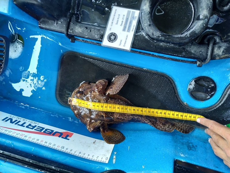Fish Measure Picture