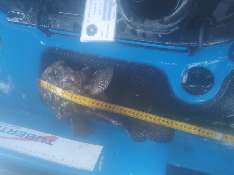 Fish Measure Picture