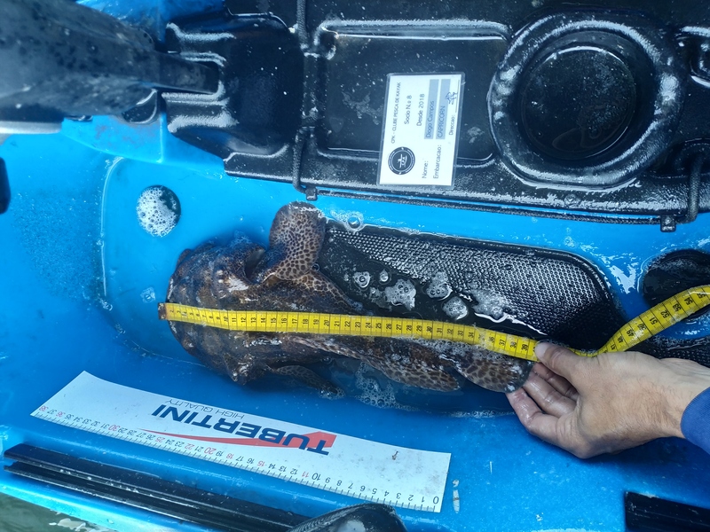 Fish Measure Picture