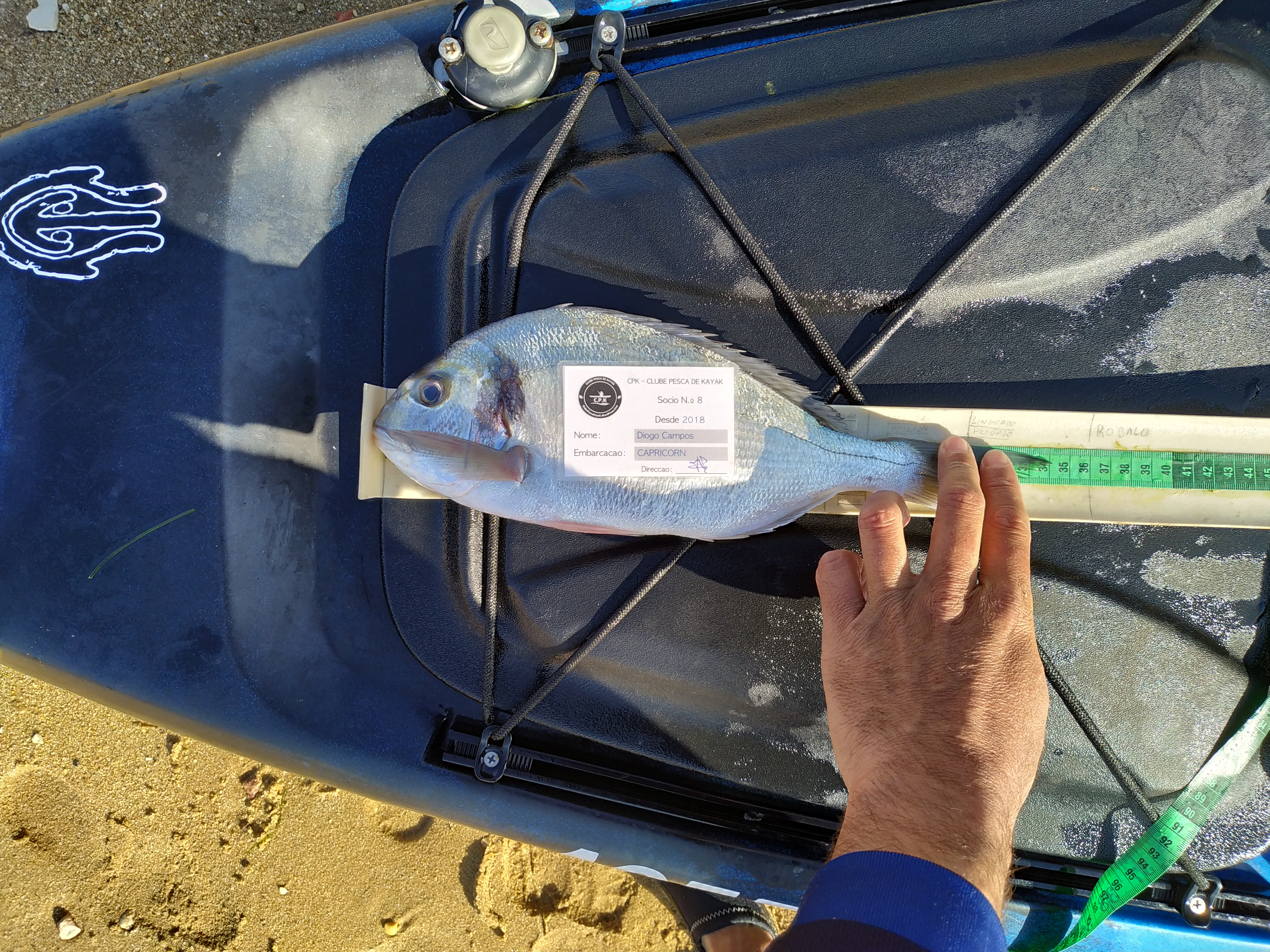 Fish Measure Picture