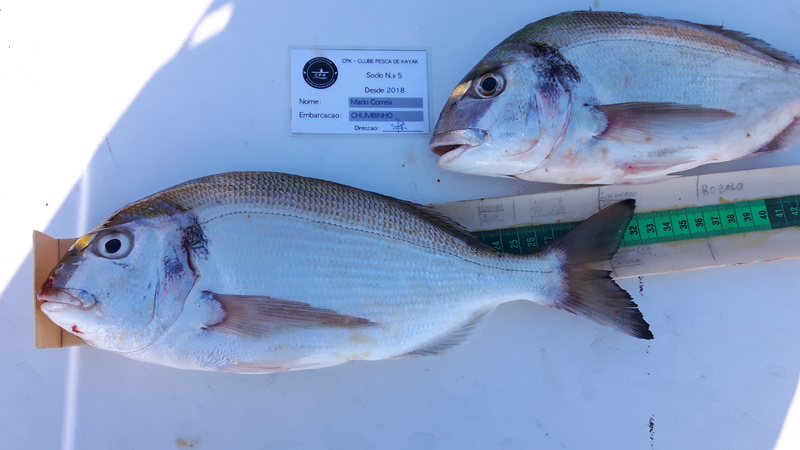 Fish Measure Picture