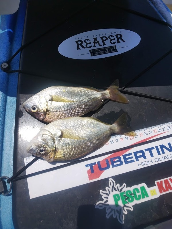 Fish Measure Picture