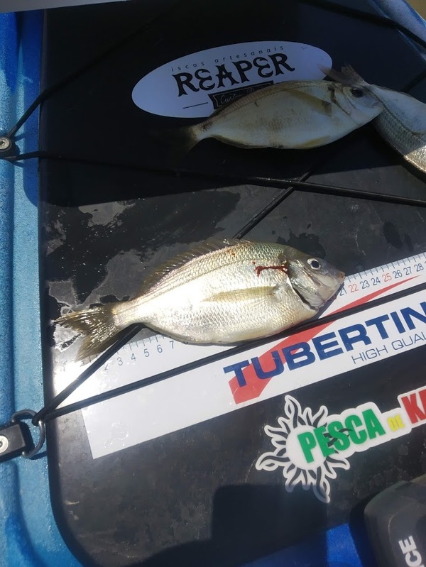 Fish Measure Picture