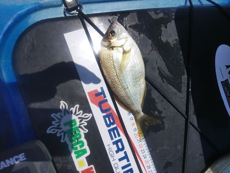 Fish Measure Picture