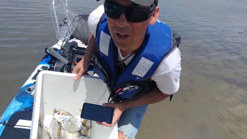 Fish Profile Picture