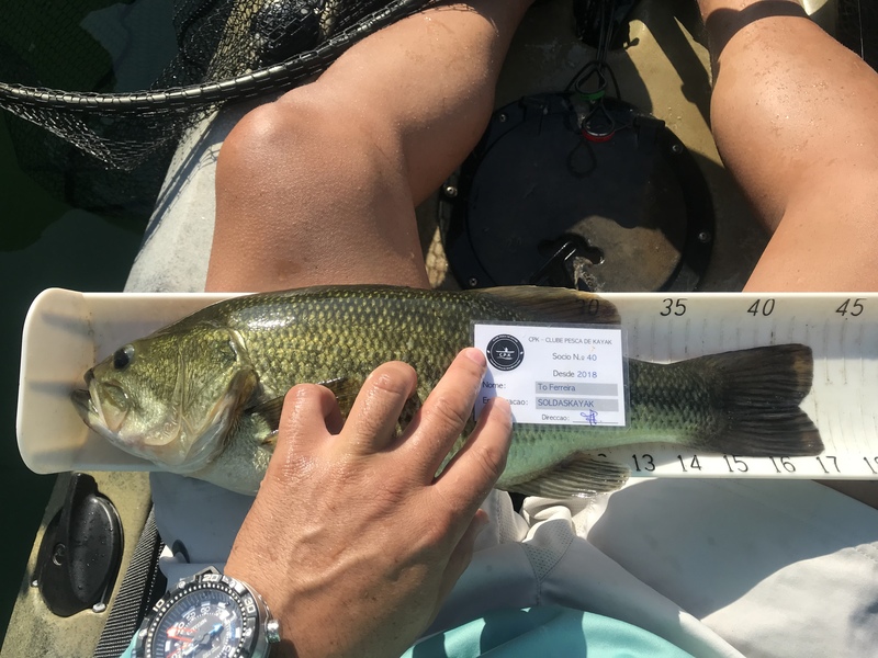 Fish Measure Picture