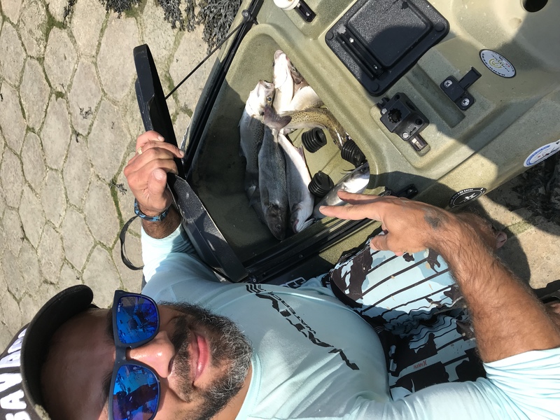 Fish Profile Picture