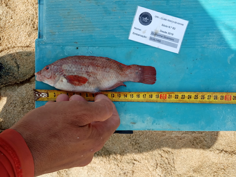 Fish Measure Picture