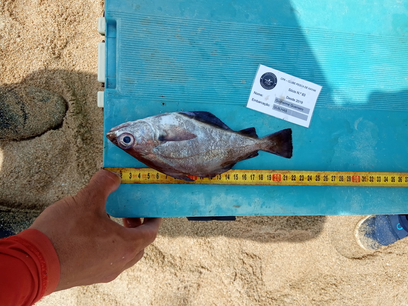 Fish Measure Picture