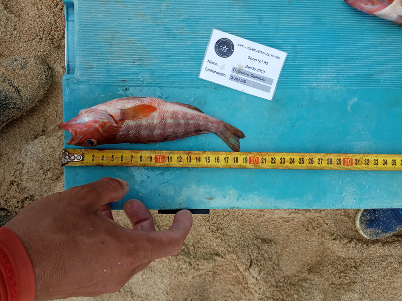 Fish Measure Picture