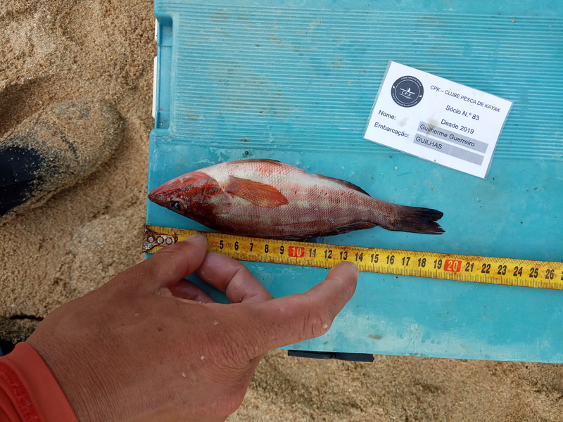 Fish Measure Picture