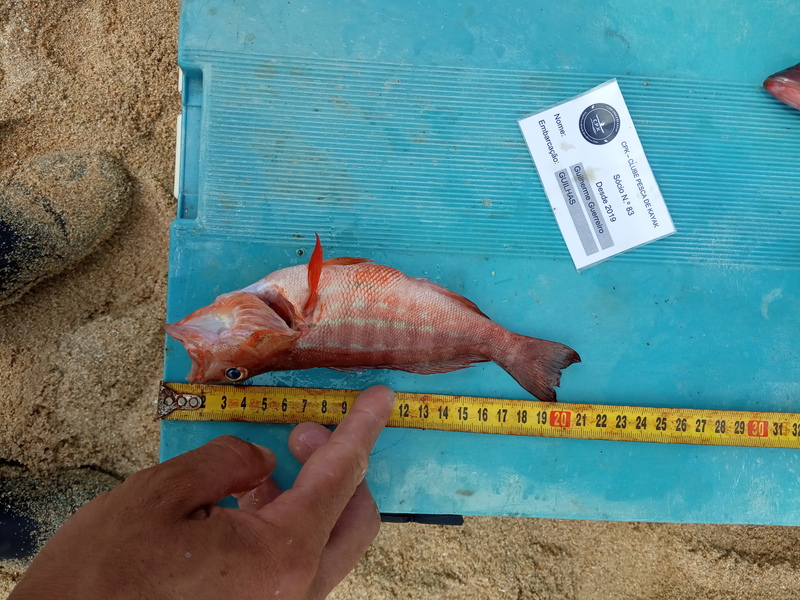 Fish Measure Picture