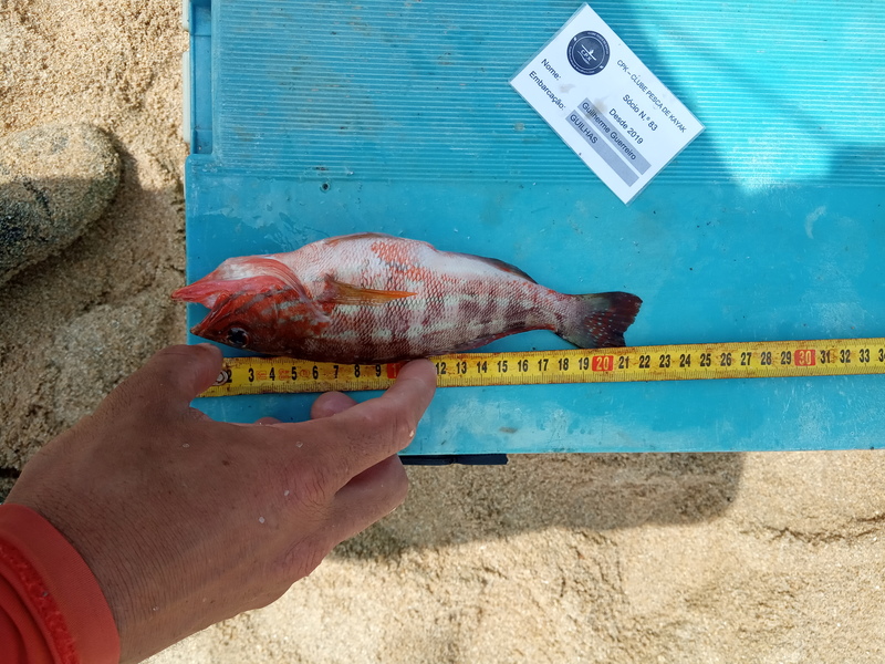 Fish Measure Picture