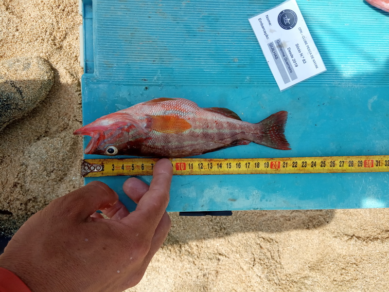 Fish Measure Picture