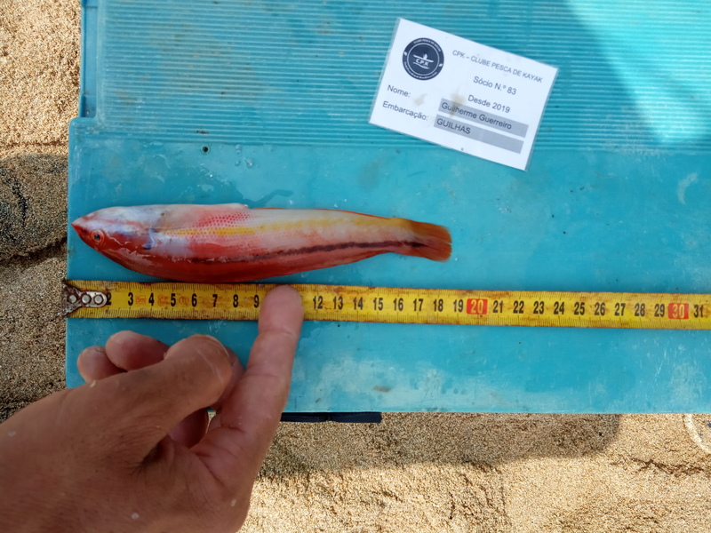 Fish Measure Picture