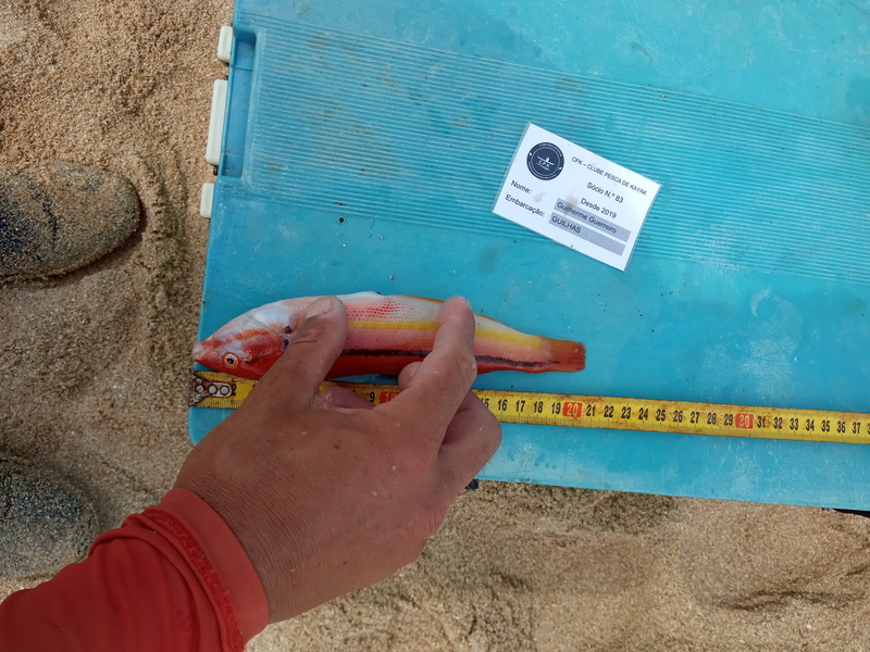 Fish Measure Picture