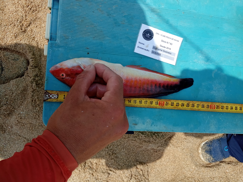 Fish Measure Picture