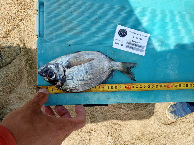 Fish Measure Picture