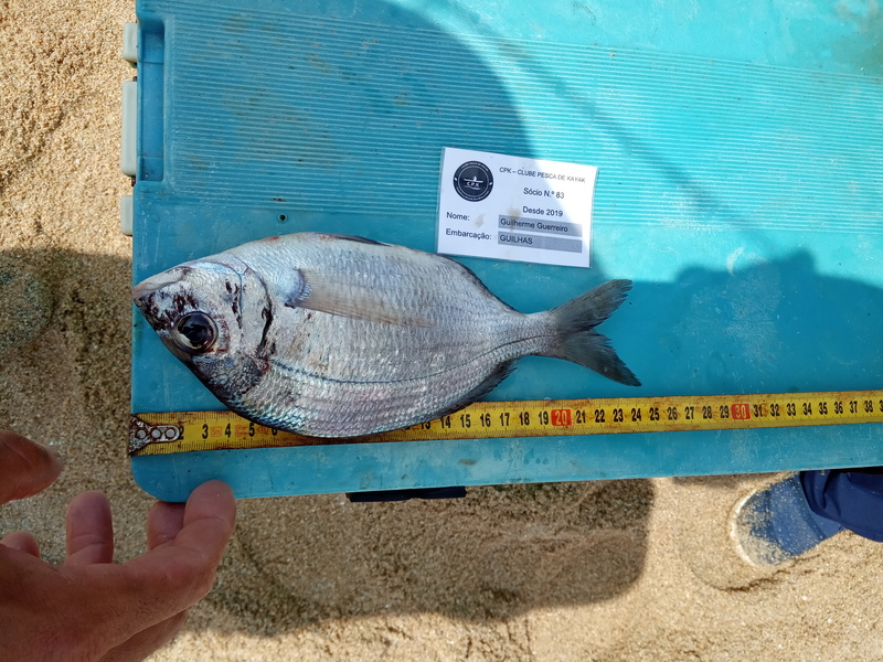 Fish Measure Picture
