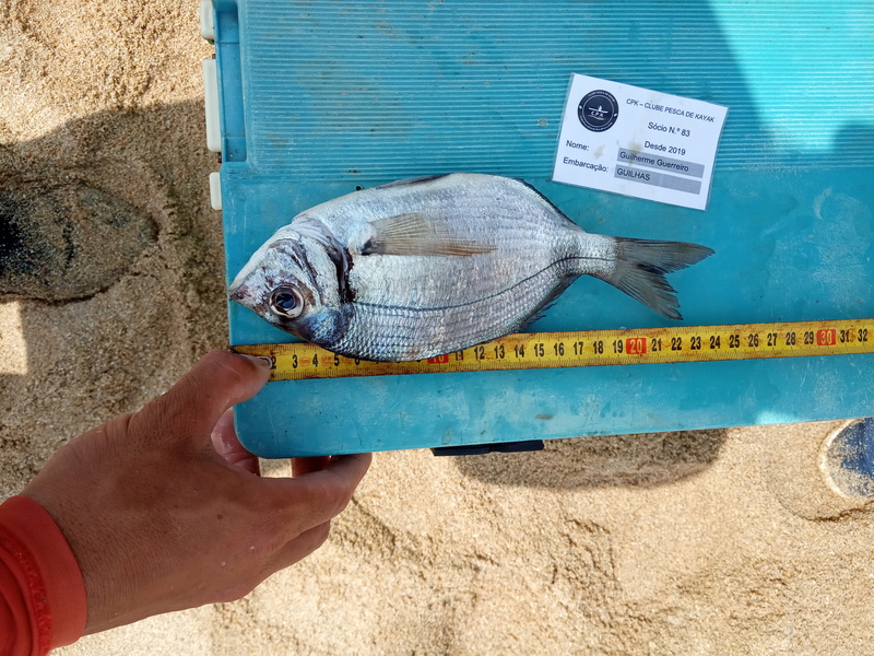 Fish Measure Picture