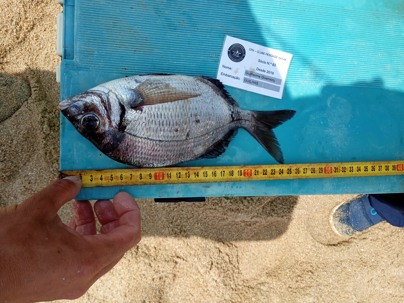 Fish Measure Picture