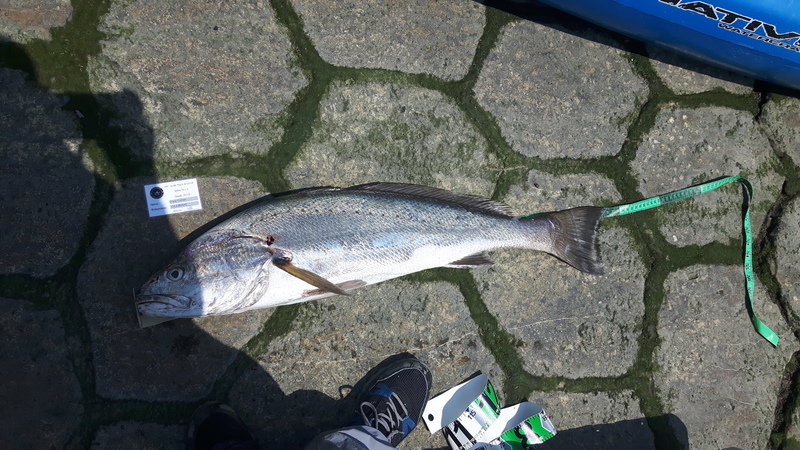 Fish Measure Picture
