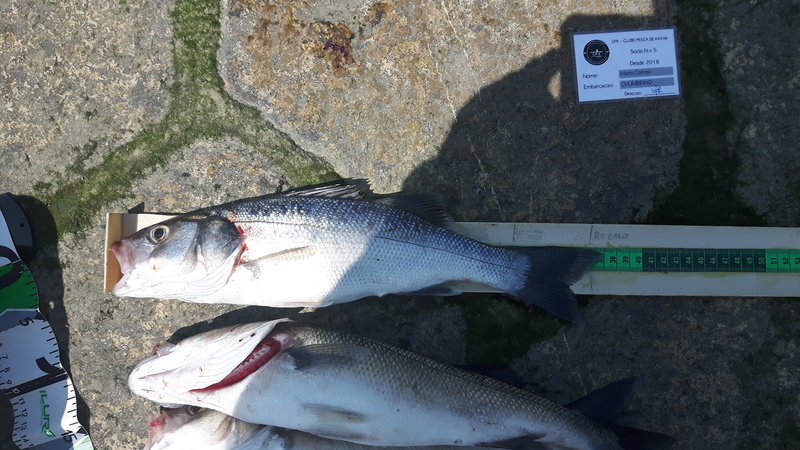 Fish Measure Picture