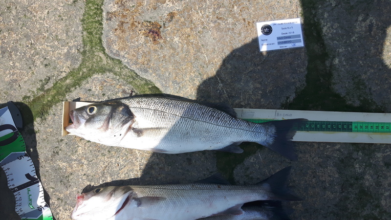 Fish Measure Picture