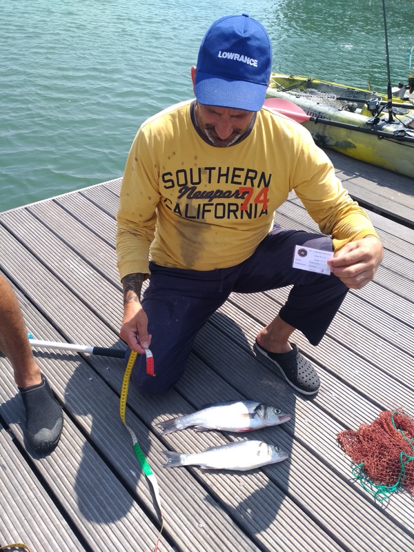 Fish Profile Picture