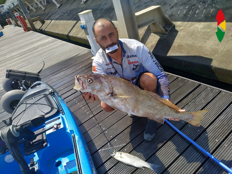 Fish Profile Picture