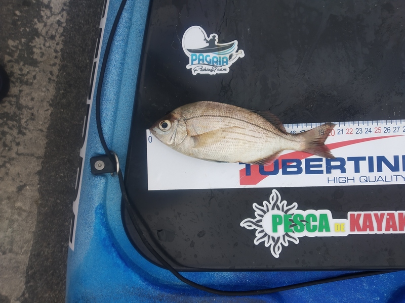 Fish Measure Picture