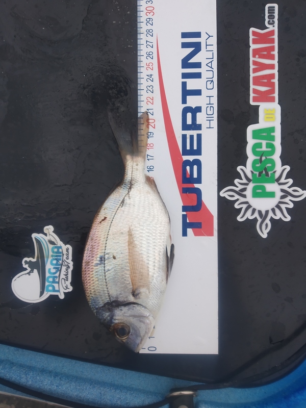 Fish Measure Picture