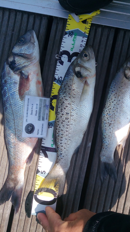 Fish Measure Picture