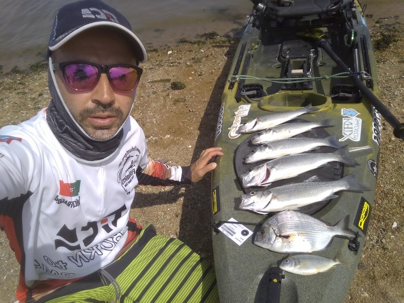 Fish Profile Picture