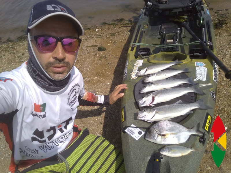 Fish Profile Picture
