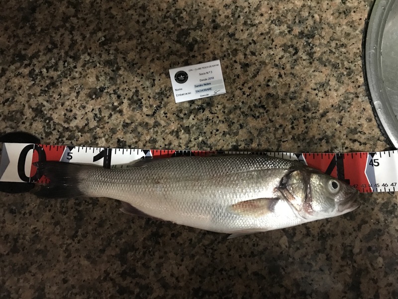 Fish Measure Picture