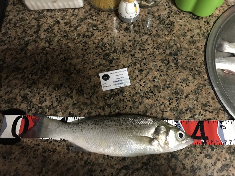 Fish Measure Picture