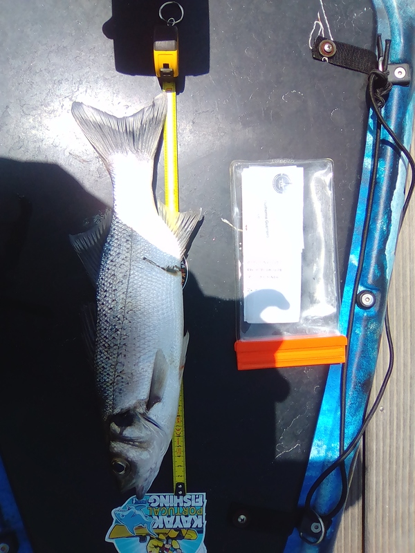 Fish Measure Picture