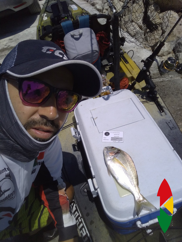 Fish Profile Picture