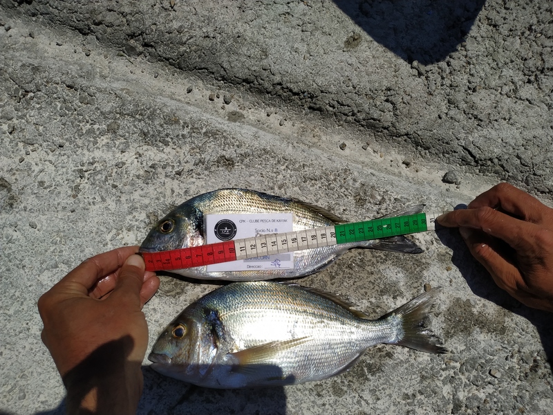 Fish Measure Picture