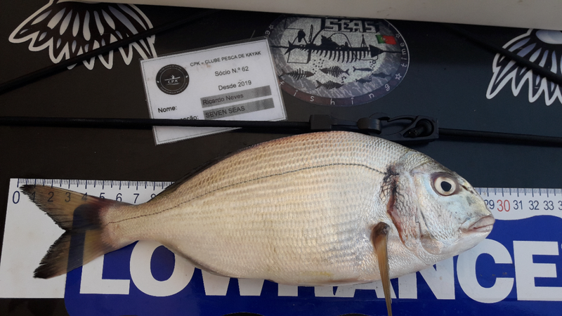 Fish Measure Picture