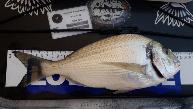 Fish Measure Picture