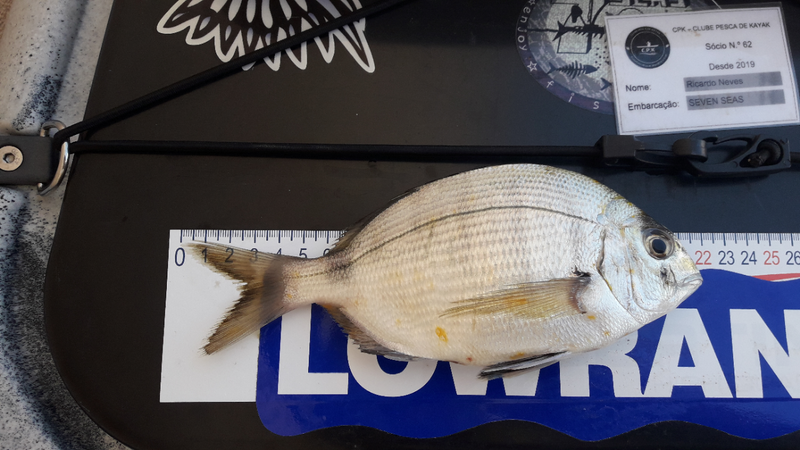Fish Measure Picture