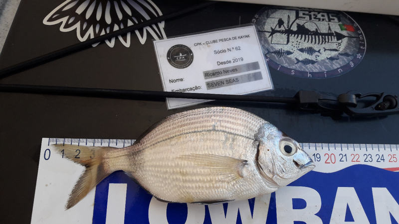 Fish Measure Picture