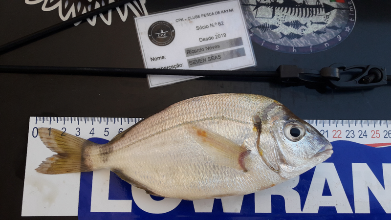 Fish Measure Picture