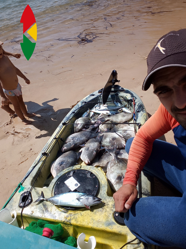 Fish Profile Picture