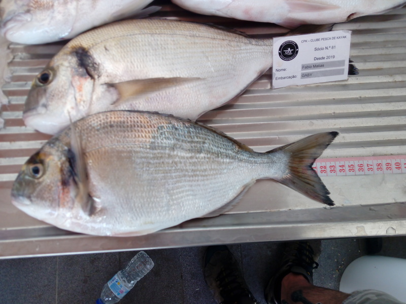 Fish Measure Picture