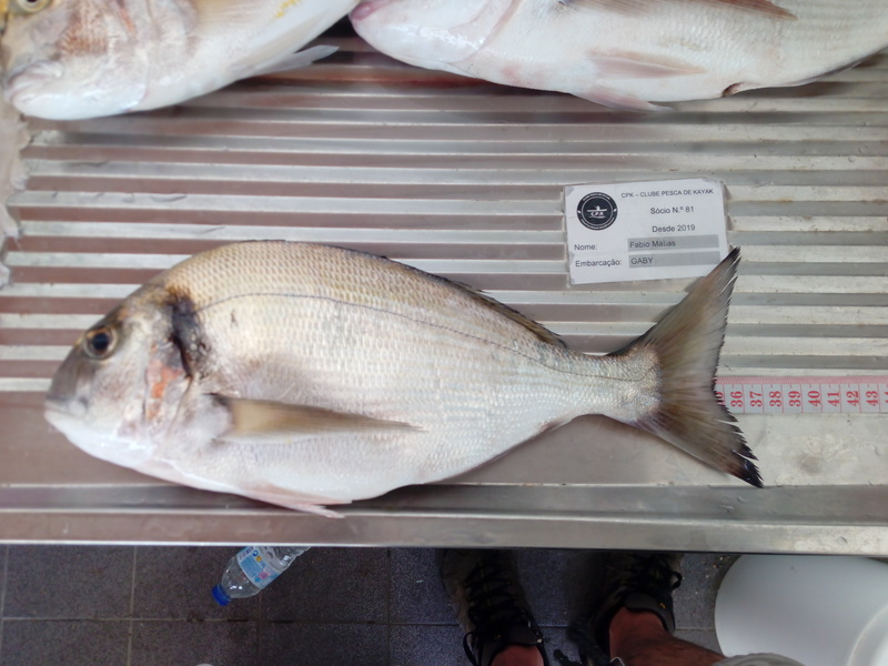 Fish Measure Picture