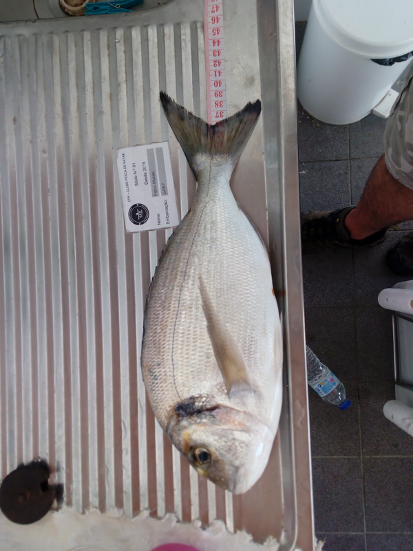 Fish Measure Picture